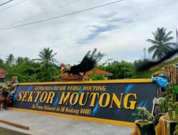 Sambut HUT Bhayangkara ke‑80, Kapolsek Moutong Pimpin Langsung Olahraga Bersama Personel dan Bhayangkari