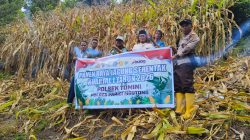 Dukung Ketahanan Pangan, Polsek Tomini Dampingi Kelompok Tani Maju Jaya Panen Jagung