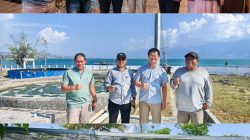 Usai Kunjungan Gubernur, Delegasi Hainan Tinjau Potensi Pertanian dan Pendidikan di Sulteng