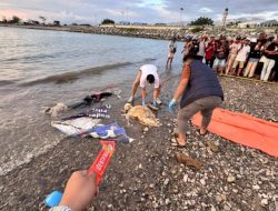Mayat Tanpa Identitas Ditemukan Mengenaskan di Pantai Penggaraman Palu, Warga Geger