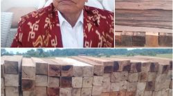 Diduga Ada Kegiatan Ekspor Kayu Ilegal ke China dari Kawasan PT. IMIP