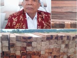 Diduga Ada Kegiatan Ekspor Kayu Ilegal ke China dari Kawasan PT. IMIP
