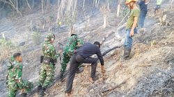 Tiga Titik Api di Alindau Berhasil Dipadamkan, Kodam XXIII/Palaka Wira Pimpin Penanganan Karhutla