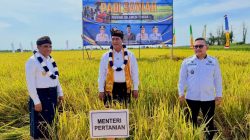Anwar Hafid Dorong Toili Jadi Lumbung Pangan Modern, Sasaran 10 Ton/Ha