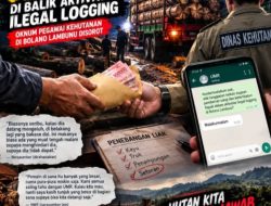 Dugaan Terima Amplop dari Penebang Liar, Oknum Kehutanan Bolano Lambunu (UMR) Dituding Main Mata
