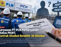 Karyawan PT PCN Pertanyakan Status PKWT, Kontrak Disebut Berakhir 30 Oktober