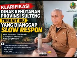 Kabid Andi Sakri Luruskan Informasi, Dinas Kehutanan Sulteng Akan Verifikasi Dugaan Oknum