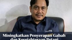 Penyerapan Gabah Parigi Moutong Capai 60 Persen