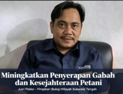 Penyerapan Gabah Parigi Moutong Capai 60 Persen